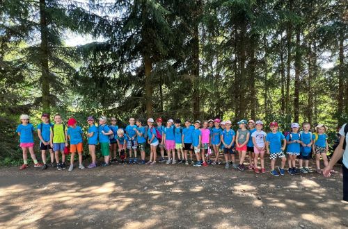 719883f6 360c 40cc 9c28 23a7ba0e8bb8