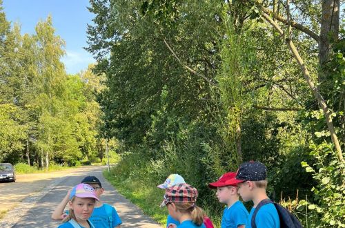 f79a40c8 7c0b 4450 8810 25c5d34dc985