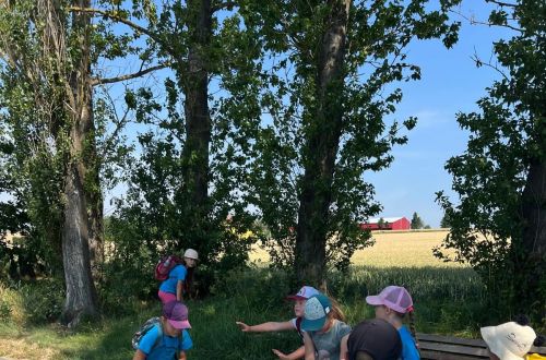 608aff4a f7a3 4973 9adc a1b2671c5cc5