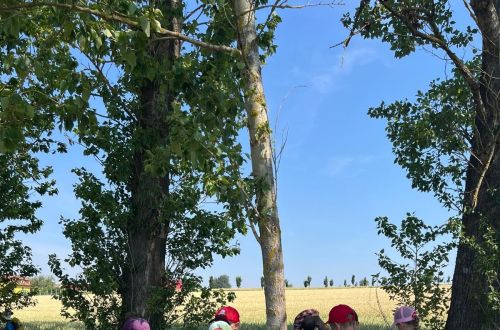 301d56ba 6eb1 47fc 9e6a 579638d49a77