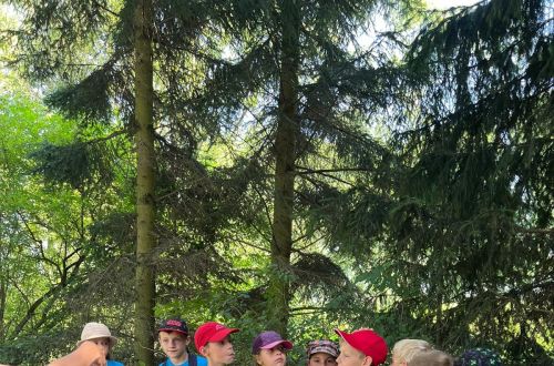 bb8a36a0 13d5 4c89 9016 b66c03539aa1