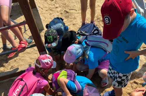 6954cdcb 630b 4227 a24d 60e07839249b