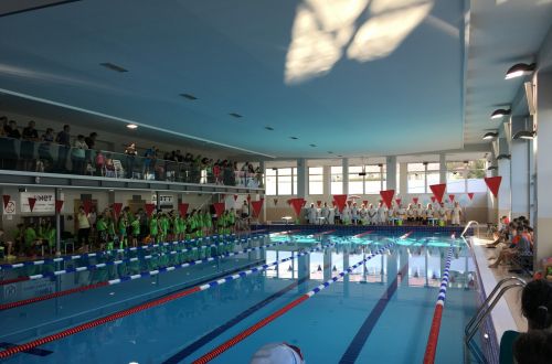 Před závodama - Žďár