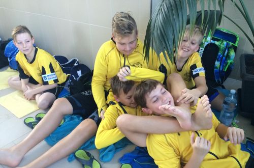 c4242c06 a4fb 4932 9719 8c6b5041434a