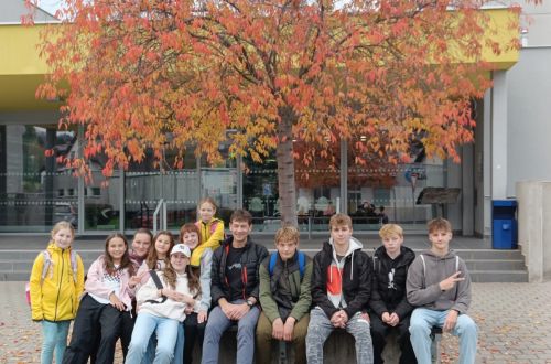 71155a95 eda0 4b2e 9af0 a8ca17be26ea